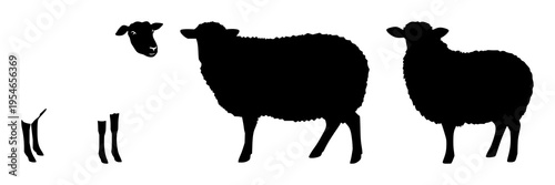 Sheep silhouette set illustrating various stances featuring farm animals, livestock, domestic mammals with woolly coats and tails
