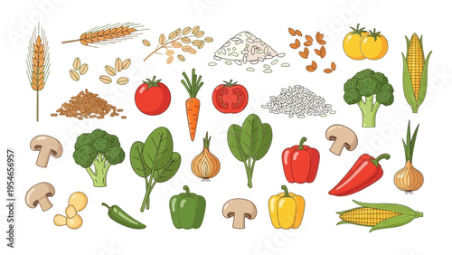 Assorted Vegetables and Grains Illustration.