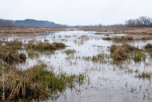 Wetland floodplain after rainfall: expanding water, reedy grasses, and a calm, expansive horizon