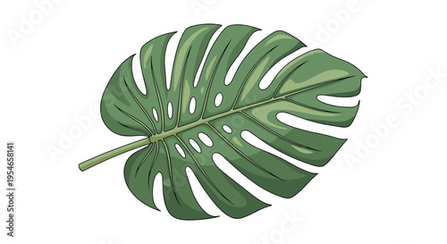 Large green monstera deliciosa leaf with characteristic holes and veins illustrated in a realistic flat style isolated on a clean white background.