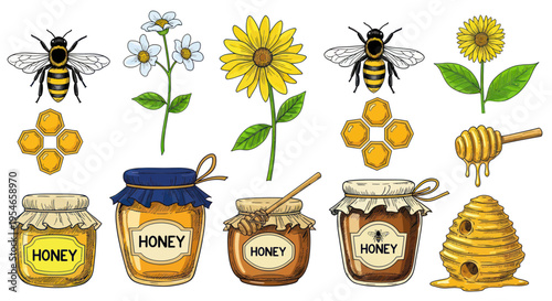 Honey Bees, Flowers, Honey Jars, and Hive Illustration Set
