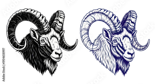 Ram Head Illustration - Black and White Sketch and Blue Line Art