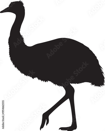 Vector silhouette of a walking ostrich