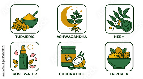 Set of Ayurvedic Natural Wellness Ingredients and Herbs Flat Icons