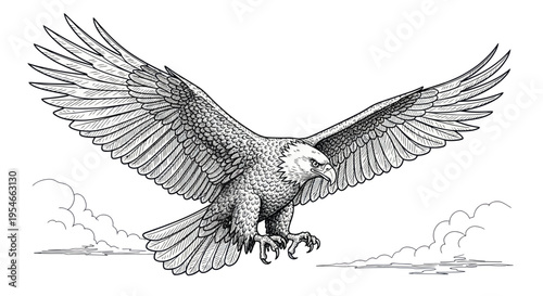 Majestic Eagle Bird of Prey Flying with Open Wings, Black and White Illustration