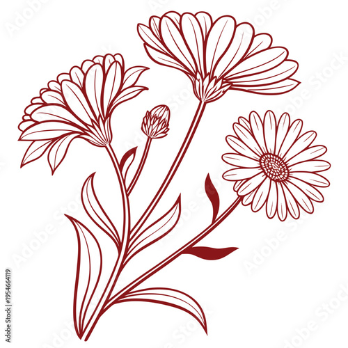 Schilderij op canvas calendula vector