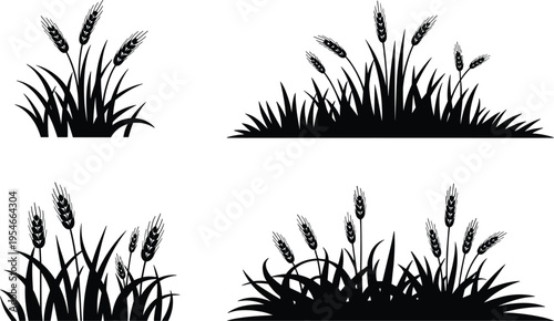 Detailed cereal grain plant silhouettes featuring ripe wheat stalks and wild grass for agricultural graphic themes.