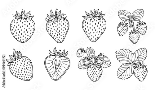 Strawberry Line Art Icon Set Featuring Whole Berries, Sliced Fruit, Leaves, and Blossoms, Hand Drawn Botanical Illustration Collection for Fresh Food Design