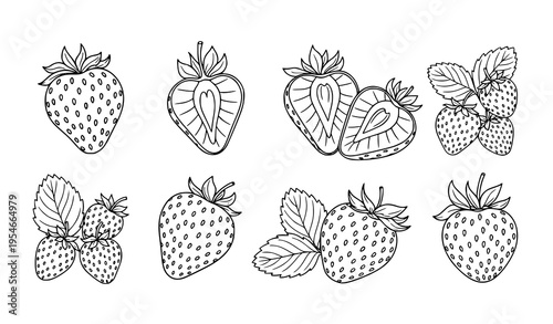 Strawberry Line Art Icon Set Featuring Whole and Sliced Berries with Leaves, Hand Drawn Botanical Fruit Illustration Collection for Fresh Food Packaging Design