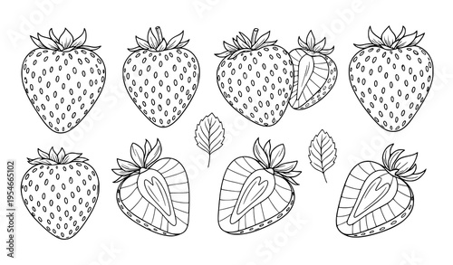 Strawberry Fruit Line Art Icon Set Featuring Whole and Sliced Berries with Leaves, Hand Drawn Botanical Food Illustration Collection for Packaging and Design