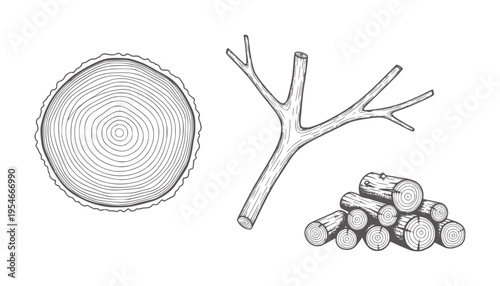 Tree ring cross section branch and stacked logs line wood
