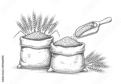 Two burlap sacks filled with grain and wheat stalks with a scoop pouring grain