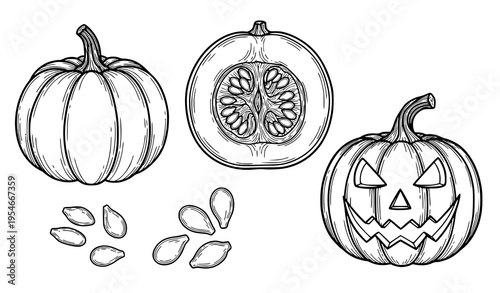 Halloween Pumpkin Icon Set with Whole Pumpkin, Jack O Lantern, Cut Pumpkin, and Seeds for Autumn Harvest, Spooky Decoration, and Seasonal Design