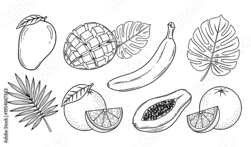 Tropical Fruits and Leaves Icon Set with Mango, Pineapple, Banana, Papaya, Citrus, and Palm Foliage for Summer Food Design and Exotic Nature Illustrations