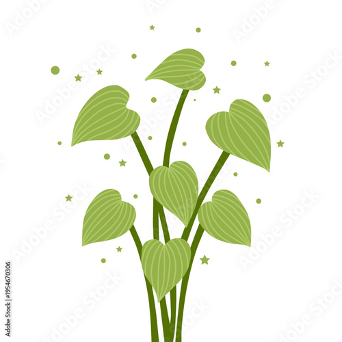 Heart shaped green leaves plant vector illustration with stars and dots. Cute potted plant style foliage for home decor and garden design
