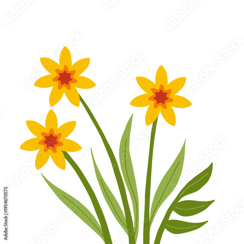 Yellow daffodil flowers and green leaves wildflower vector illustration. Hand drawn narcissus flower illustration in flat vector style isolated  for greeting card and summer decor