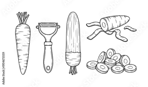 Carrot Preparation Process Illustration Set with Whole Vegetable, Peeler Tool, Peeled Carrot, Slices and Peels for Cooking, Kitchen, and Food Design Concepts
