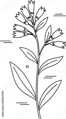 Minimal botanical flower branch with leaves line art floral icon vector illustration