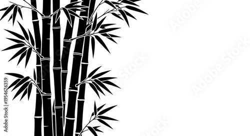 Vector bamboo illustration, black and white