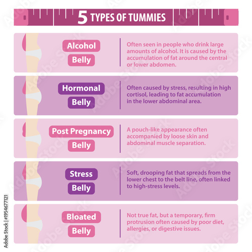 Infographic types of tummies vector illustration on white background. Comparison of women with alcohol, hormonal, post pregnancy, stress and bloated belly. Body type, health, weight problem concept.