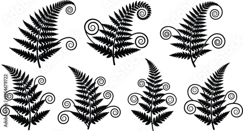 Black fern silhouette collection set isolated on white background for decorative nature design, curled leaf, botanical flourish and ornamental illustration.