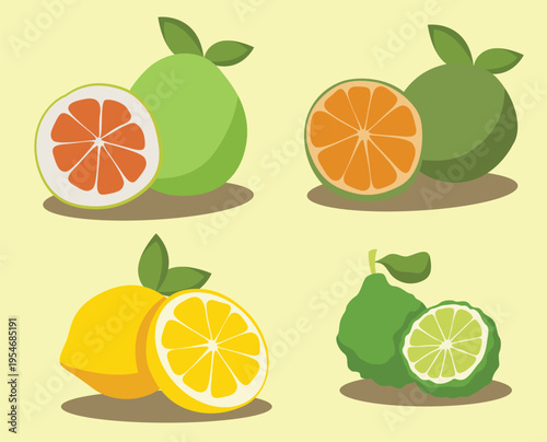 set of citrus fruit