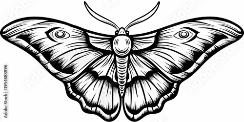 Vintage Monochrome Moth Line Art Illustration