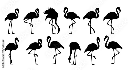 A collection of twelve black silhouettes featuring various poses of the elegant flamingo bird