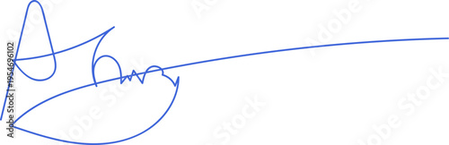 Signatures. Vector isolated collection. Handwritten signature. Abstract autograph. 