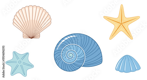 Collection of various sea shells and starfishes in soft pastel colors including scallop and spiral shells for beach themes.