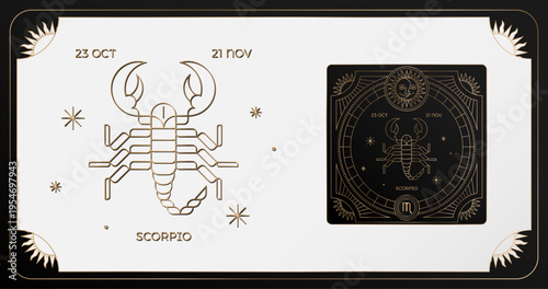 Astrology wheel with zodiac signs on star background. Line art scorpio illustration of zodiac signs. 