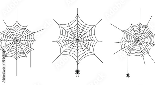Three different black and white spider webs, two with small spiders hanging from silk threads for spooky decoration design.