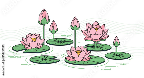 Beautiful pink lotus flowers and buds float on green lily pads in a calm body of water with stylized ripple lines.