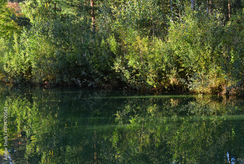 Lush Green Trees Reflected in Calm Water copy space