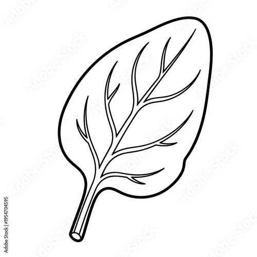 Single spinach leaf outline, simple line art, isolated on white