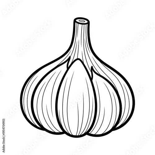 Garlic bulb illustration, healthy food ingredient, black and white line art