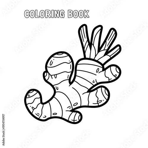 Ginger root outline for coloring book