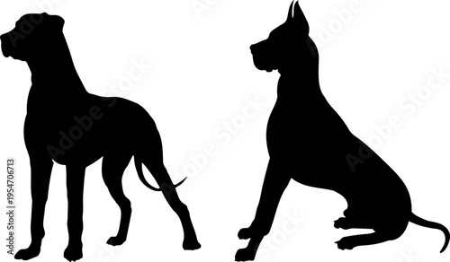 Great Dane silhouettes vector illustration