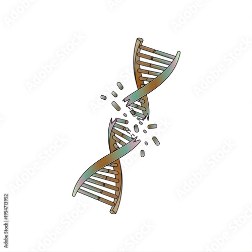 Broken DNA Strand