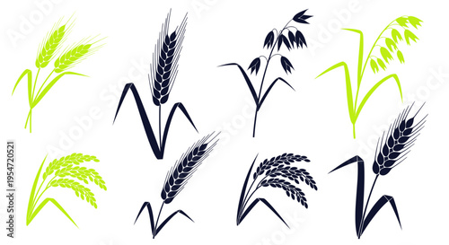 Set of Grain Icons: Wheat, Oats, Rice - Agricultural Symbols