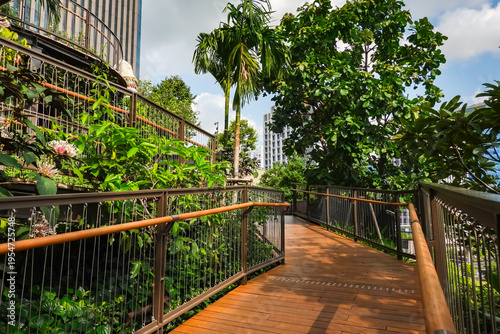 Stroll through the forest gardens of Dusit Arun Garden, a public park filled with trees and fresh air at Dusit Central Park, a centrally located park in Bangkok, Thailand, a new landmark and business 