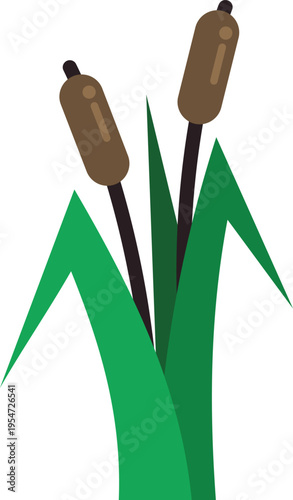 Cattail plants with brown heads and green leaves illustrating a marsh or swamp environment