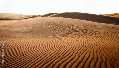 Wavy Sand Patterns On A Beach With Natural Curves On Transparent Background