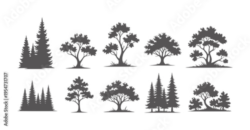 Collection of dark grey tree silhouettes white nature forest evergreen