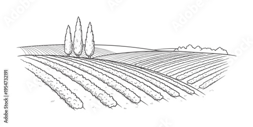Hand drawn of rolling hills with cultivated fields and trees landscape cultivation