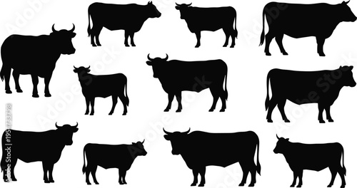 cattle silhouette set, cow and bull icons, livestock animals, farm collection, black silhouettes, agriculture vector illustration, ranch animal shapes