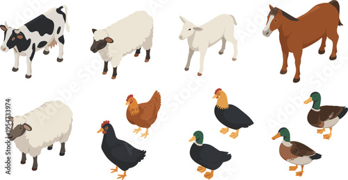 isometric farm animal set, cow, sheep, goat, horse, chicken, rooster, duck, livestock collection, agriculture rural vector illustration