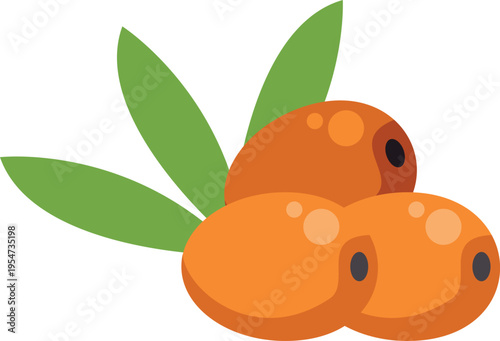 Sea buckthorn berries and green leaves illustrating a healthy eating concept