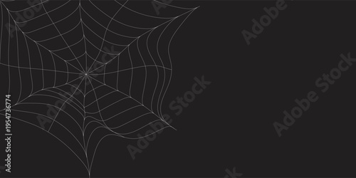 Spider web or cobweb. Halloween net background eps 10