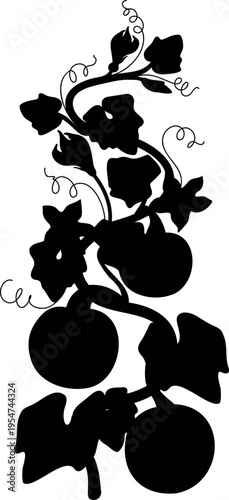 Black silhouette of Pumpkin vine with flowers and leaves, vector isolated on white	